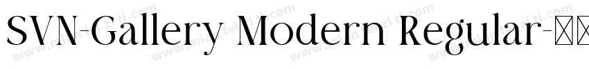 SVN-Gallery Modern Regular字体转换